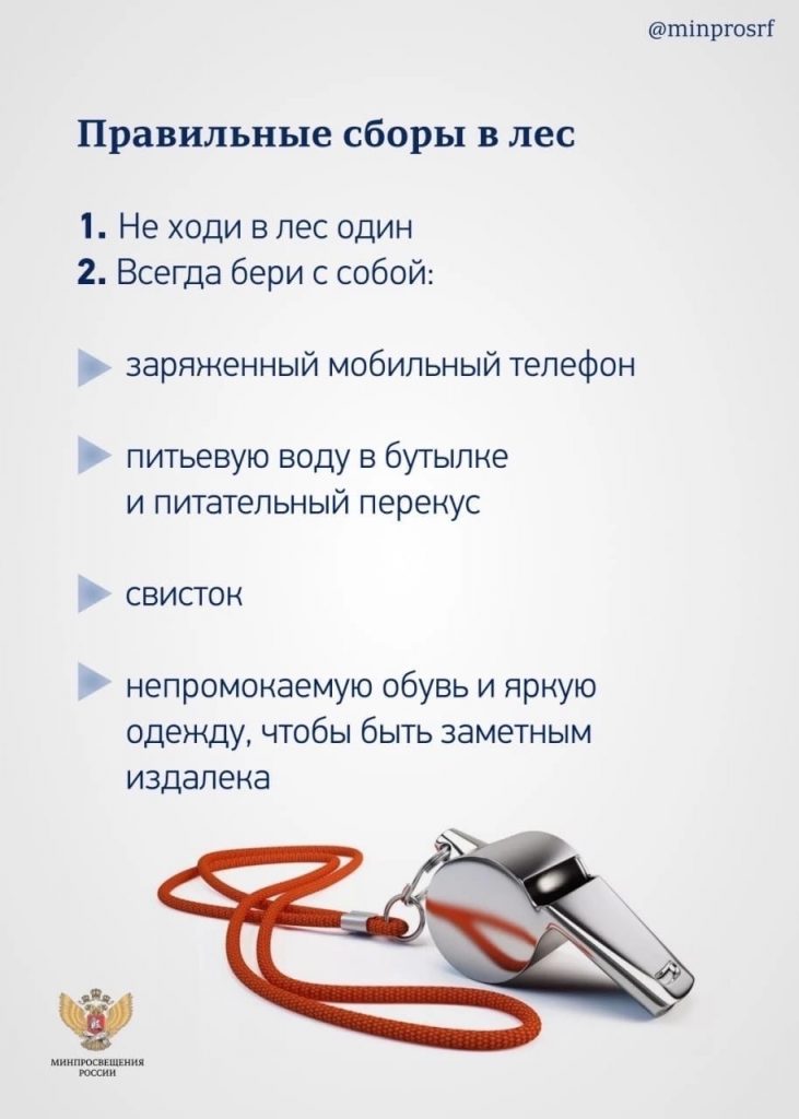 Это изображение имеет пустой атрибут alt; его имя файла - H3styJu3aBo-731x1024.jpg